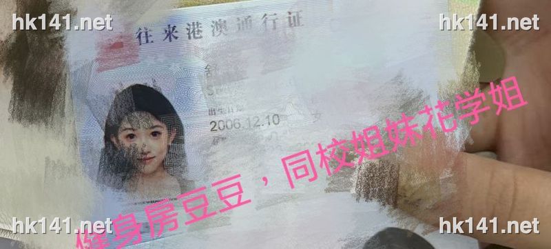 豆豆
